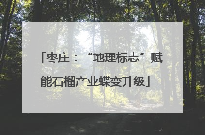 枣庄：“地理标志”赋能石榴产业蝶变升级