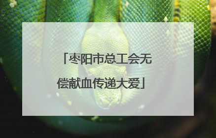 枣阳市总工会无偿献血传递大爱
