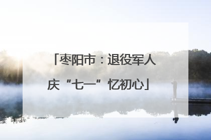 枣阳市：退役军人庆“七一”忆初心