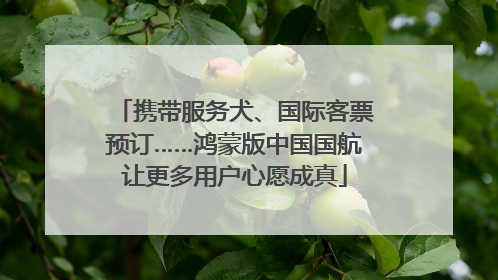 携带服务犬、国际客票预订……鸿蒙版中国国航让更多用户心愿成真