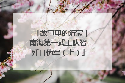故事里的沂蒙｜南海第一武工队智歼日伪军（上）