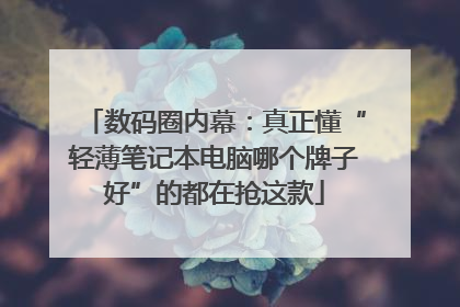 数码圈内幕：真正懂“轻薄笔记本电脑哪个牌子好”的都在抢这款
