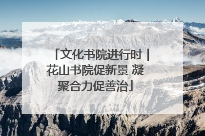 文化书院进行时｜花山书院促新景 凝聚合力促善治