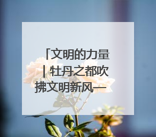 文明的力量｜牡丹之都吹拂文明新风——山东菏泽文明创建一线见闻