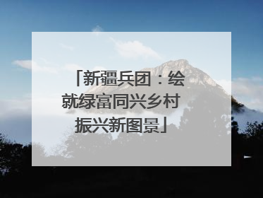 新疆兵团：绘就绿富同兴乡村振兴新图景