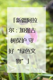 新疆阿拉尔：加强古树保护 守好“绿色文物”