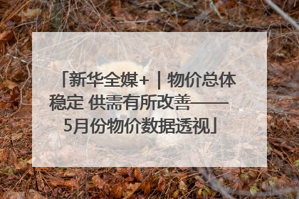 新华全媒+｜物价总体稳定 供需有所改善——5月份物价数据透视