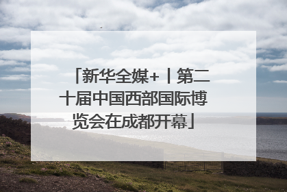 新华全媒+丨第二十届中国西部国际博览会在成都开幕