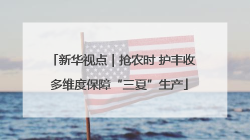 新华视点｜抢农时 护丰收 多维度保障“三夏”生产