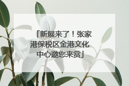 新展来了！张家港保税区金港文化中心邀您来赏