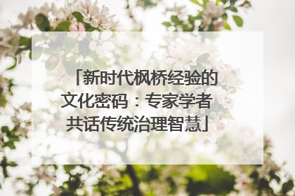 新时代枫桥经验的文化密码：专家学者共话传统治理智慧