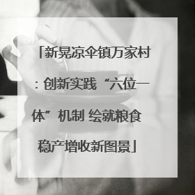 新晃凉伞镇万家村：创新实践“六位一体”机制 绘就粮食稳产增收新图景