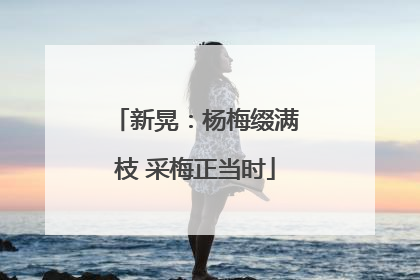 新晃：杨梅缀满枝 采梅正当时