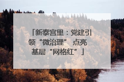 新泰宫里：党建引领“微治理” 点亮基层“网格红”