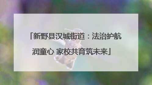 新野县汉城街道：法治护航润童心 家校共育筑未来
