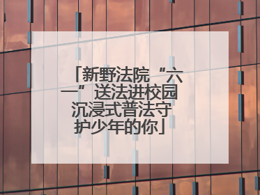 新野法院“六一”送法进校园 沉浸式普法守护少年的你