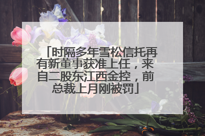 时隔多年雪松信托再有新董事获准上任，来自二股东江西金控，前总裁上月刚被罚