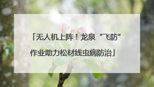 无人机上阵！龙泉“飞防”作业助力松材线虫病防治