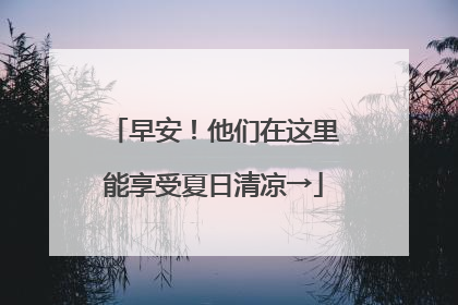 早安！他们在这里能享受夏日清凉→