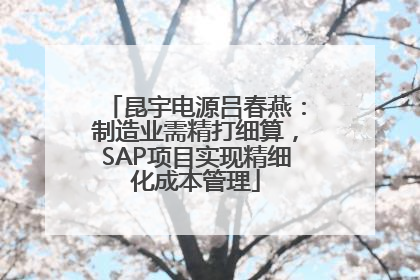 昆宇电源吕春燕：制造业需精打细算，SAP项目实现精细化成本管理