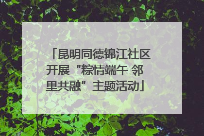 昆明同德锦江社区开展“粽情端午 邻里共融”主题活动