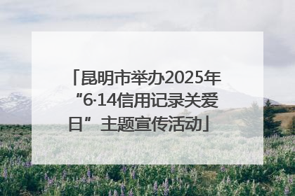 昆明市举办2025年“6·14信用记录关爱日”主题宣传活动