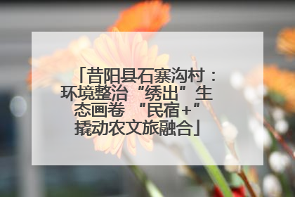 昔阳县石寨沟村：环境整治“绣出”生态画卷 “民宿+”撬动农文旅融合