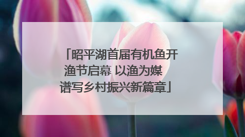 昭平湖首届有机鱼开渔节启幕 以渔为媒 谱写乡村振兴新篇章