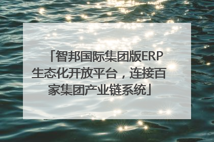 智邦国际集团版ERP生态化开放平台，连接百家集团产业链系统