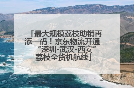 最大规模荔枝助销再添一码！京东物流开通“深圳-武汉-西安” 荔枝全货机航线