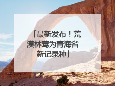 最新发布！荒漠林莺为青海省新记录种