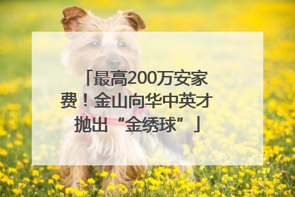 最高200万安家费！金山向华中英才抛出“金绣球”