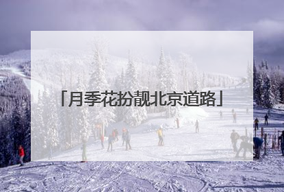 月季花扮靓北京道路