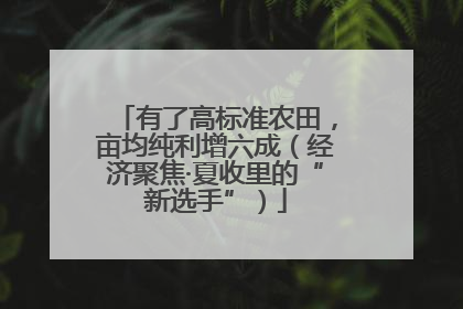 有了高标准农田，亩均纯利增六成（经济聚焦·夏收里的“新选手”）