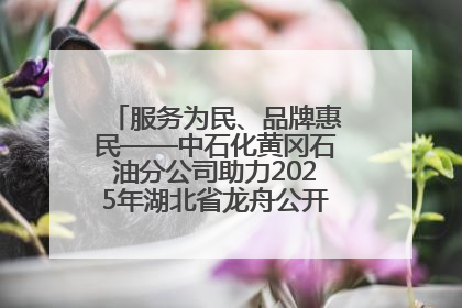 服务为民、品牌惠民——中石化黄冈石油分公司助力2025年湖北省龙舟公开赛（黄冈站）