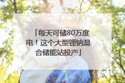 每天可储80万度电！这个大型锂钠混合储能站投产