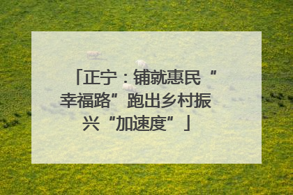正宁：铺就惠民“幸福路”跑出乡村振兴“加速度”