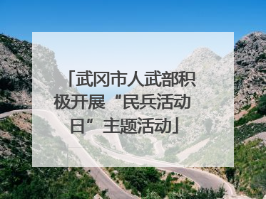 武冈市人武部积极开展“民兵活动日”主题活动