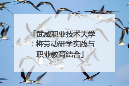 武威职业技术大学：将劳动研学实践与职业教育结合