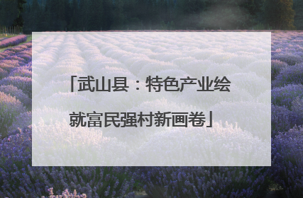 武山县：特色产业绘就富民强村新画卷