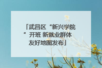 武昌区“新兴学院”开班 新就业群体友好地图发布
