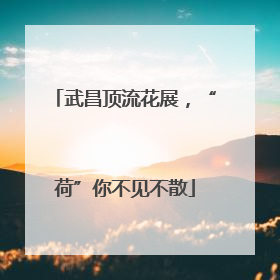 武昌顶流花展，“荷”你不见不散