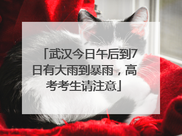 武汉今日午后到7日有大雨到暴雨，高考考生请注意