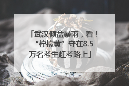 武汉倾盆暴雨，看！“柠檬黄”守在8.5万名考生赶考路上