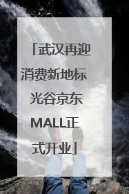 武汉再迎消费新地标 光谷京东MALL正式开业