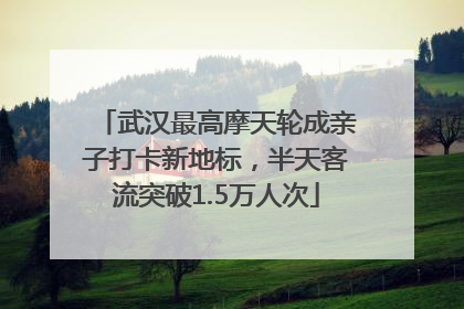 武汉最高摩天轮成亲子打卡新地标，半天客流突破1.5万人次