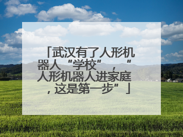 武汉有了人形机器人“学校”，“人形机器人进家庭，这是第一步”