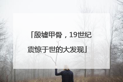 殷墟甲骨，19世纪震惊于世的大发现
