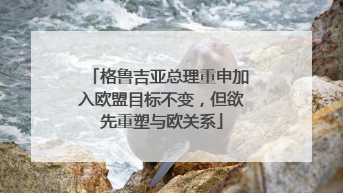 格鲁吉亚总理重申加入欧盟目标不变，但欲先重塑与欧关系