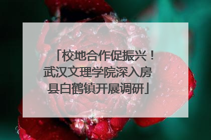 校地合作促振兴！武汉文理学院深入房县白鹤镇开展调研